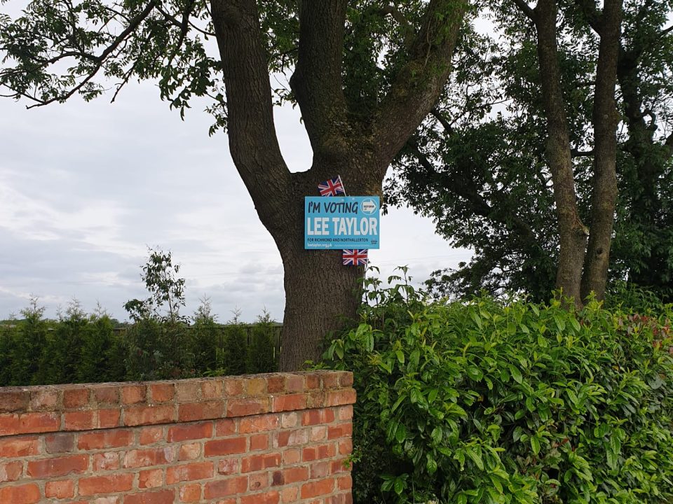 Reform UK sign in tree
